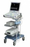 Ultrasonography (USG)